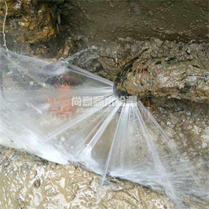 重兴镇消防管道漏水检测